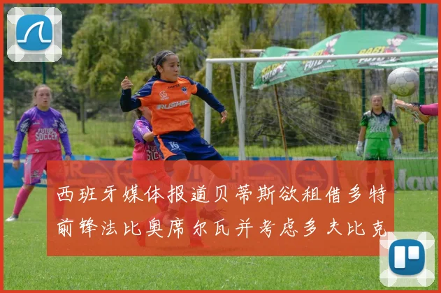 西班牙媒体报道贝蒂斯欲租借多特前锋法比奥席尔瓦并考虑多夫比克