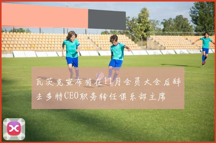 瓦茨克宣布将在11月会员大会后辞去多特CEO职务转任俱乐部主席