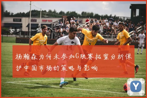 杨瀚森为何未参加G联赛拓蜜分析保护中国市场的策略与影响