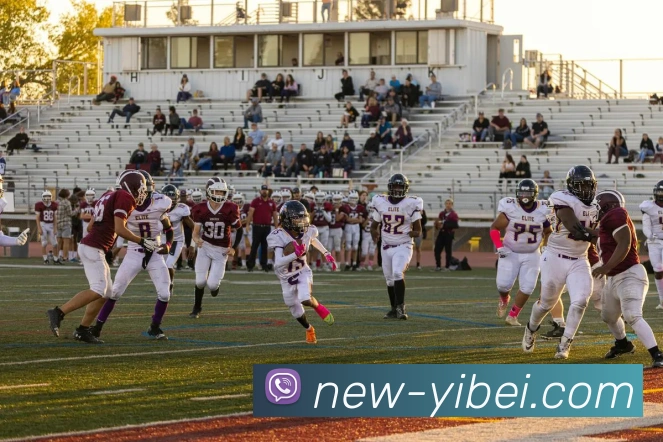 易倍体育APP 封面图